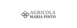 Agrícola María Pinto